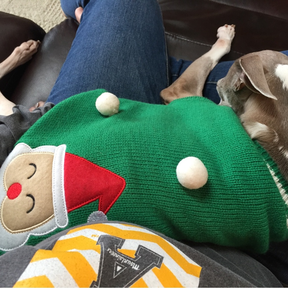 πHolidayπ
π» Dog Sweaters - Picture 2 of 6